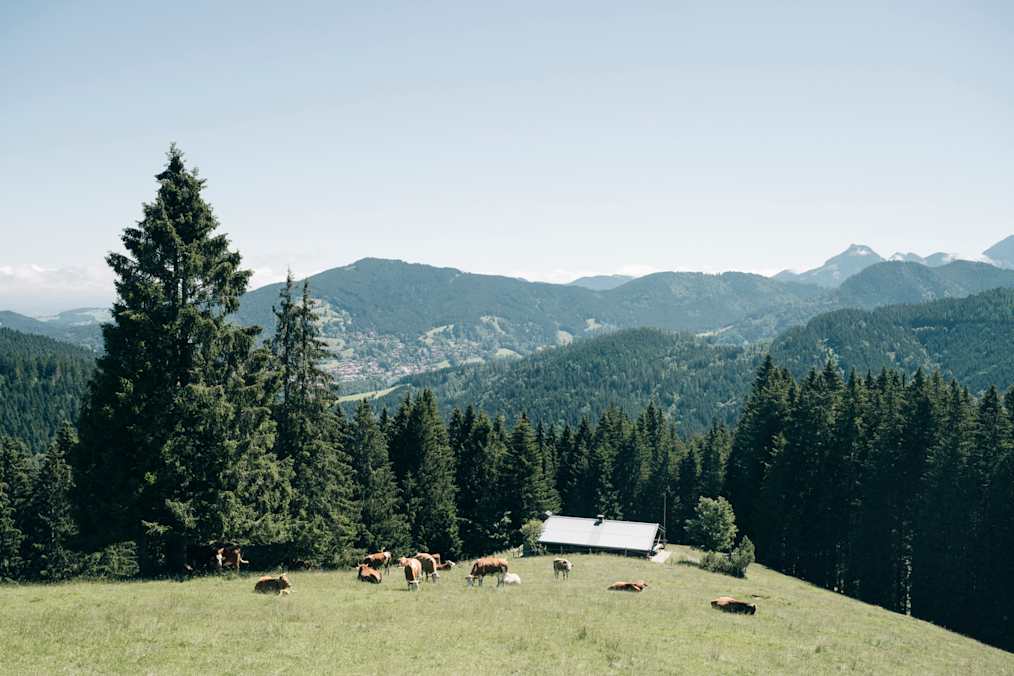 Die Kreuzbergalm auf 1.223m Höhe