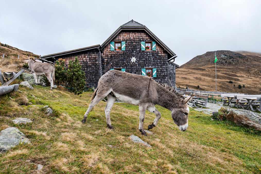 Die Millstätter Hütte