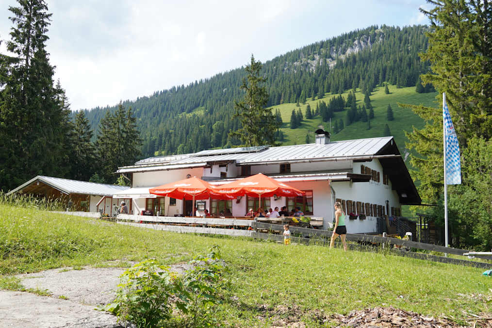 Die Mitteralm im Sommer