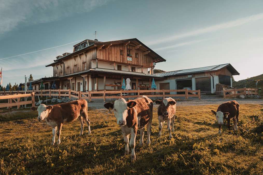 Das Straubinger Haus liegt in den Chiemgauer Alpen auf Tiroler Boden und nordwestlich des Fellhorns.