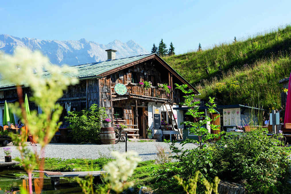 Die urige Zachhofalm