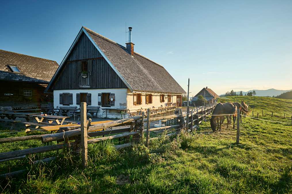 Die Alm im Reichraminger Hintergerbirge