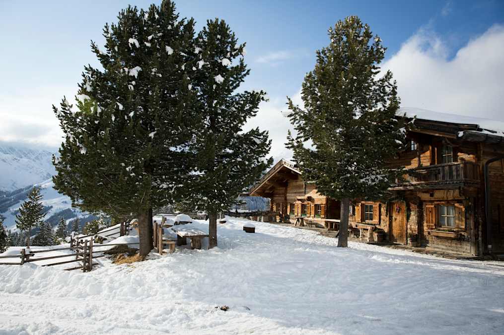 Die Grieralm im Winter mit den schönen alten Zirben.