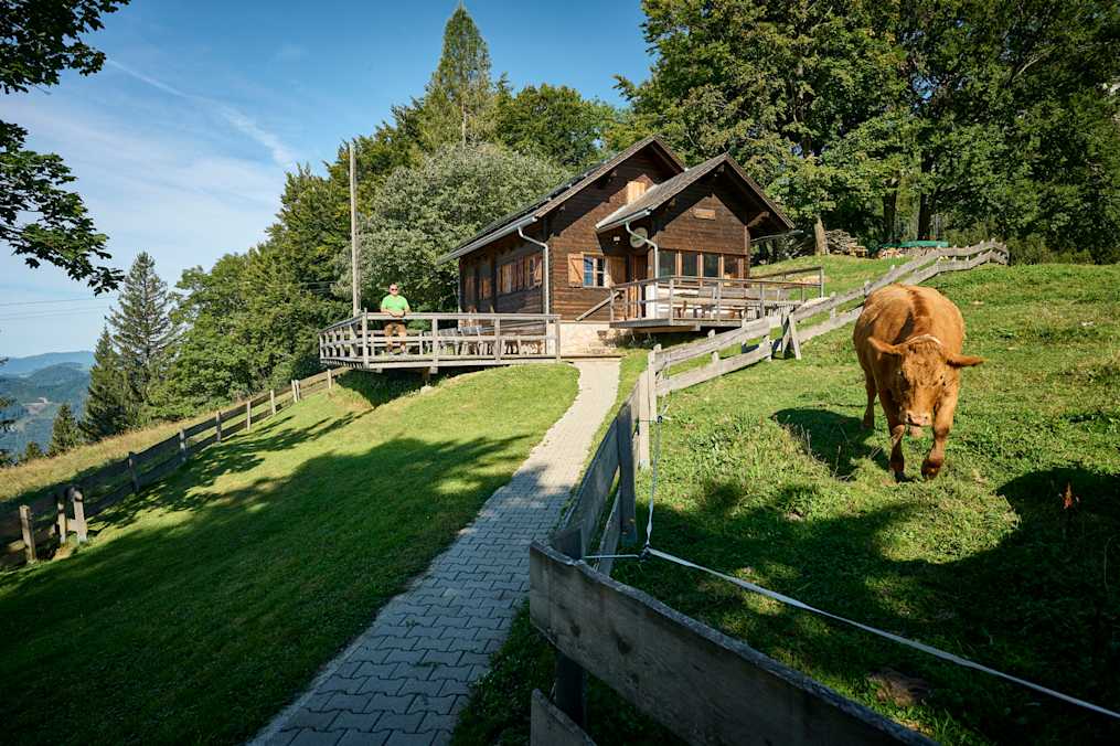 Die Mollnerhütte am Gaisberg