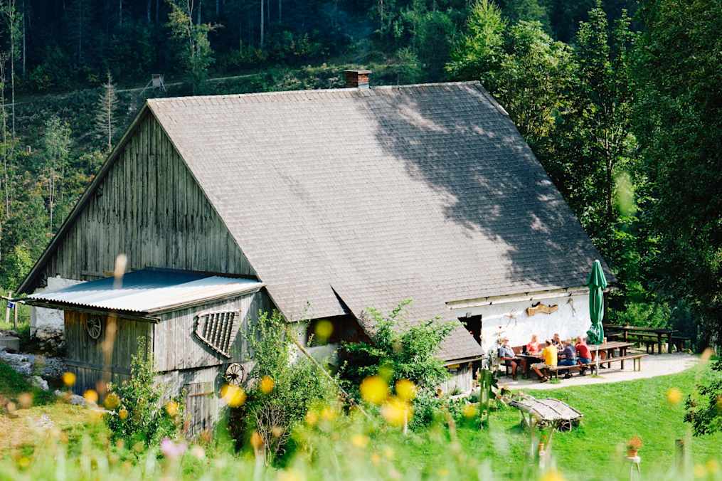 Die Puglalm in den Ennstaler Alpen befindet sich am Hengstpass direkt am „Rundweg auf der Alm“.