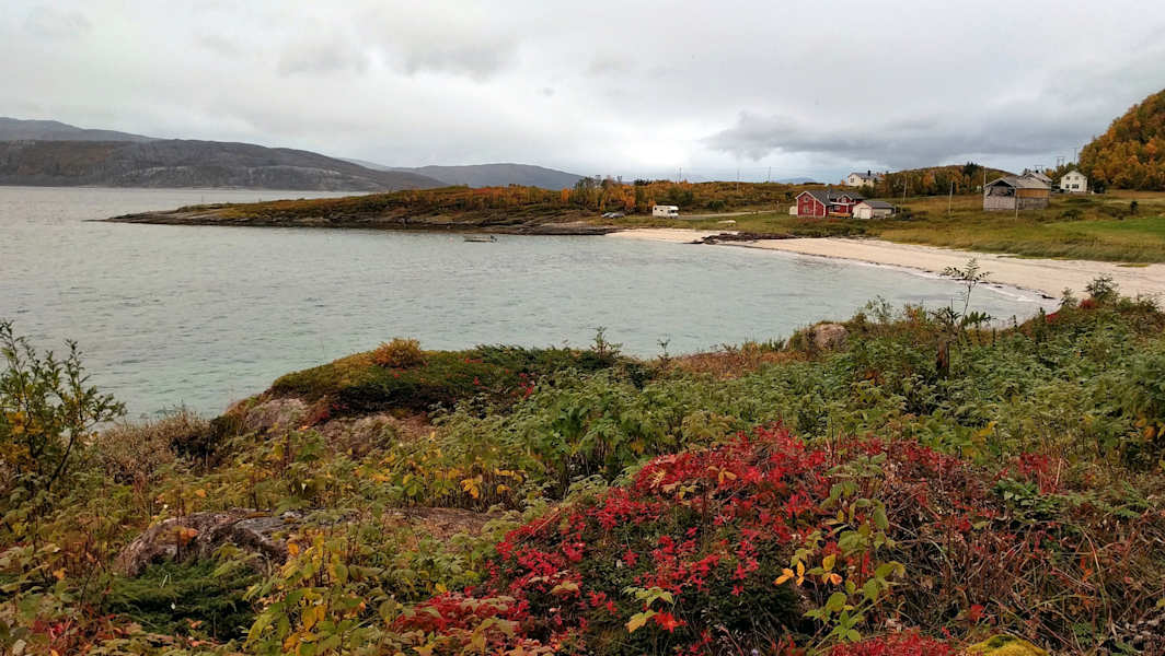 Senja Norwegen Reise