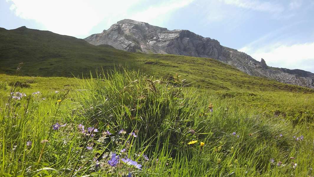 Am Weg zu den Schöberspitzen
