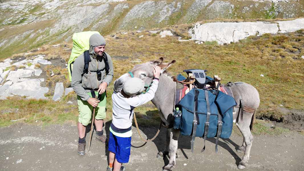 Mit dem Esel durch die französischen Alpen