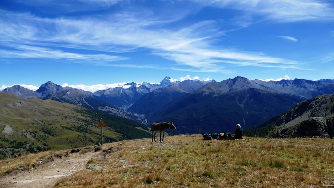 Mit dem Esel durch die französischen Alpen