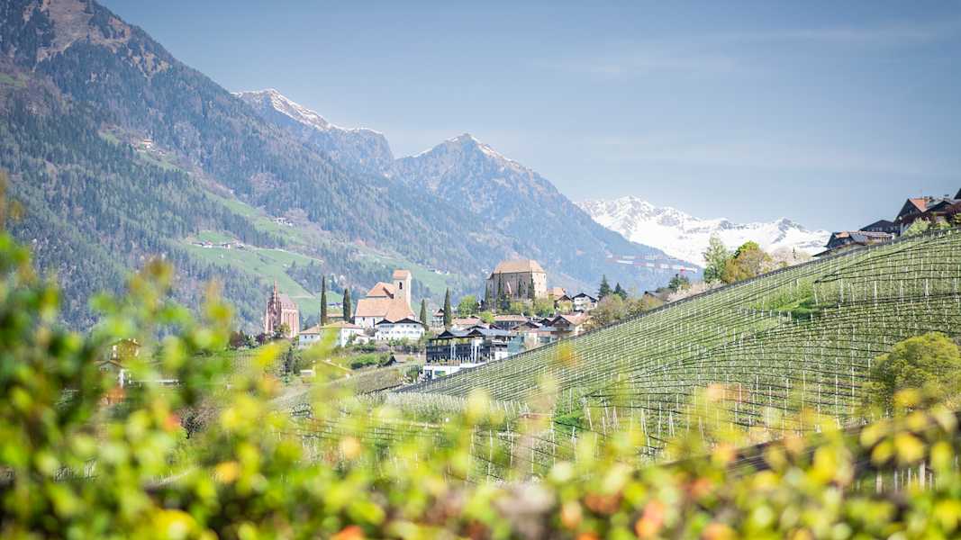 Ein Blick auf Schenna, wo der Frühling bereits Einzug gehalten hat. Das Hochgebirge im Hintergrund ist noch tief winterlich.