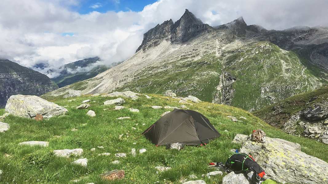 Zwei Schnauzer durchwandern die Schweiz