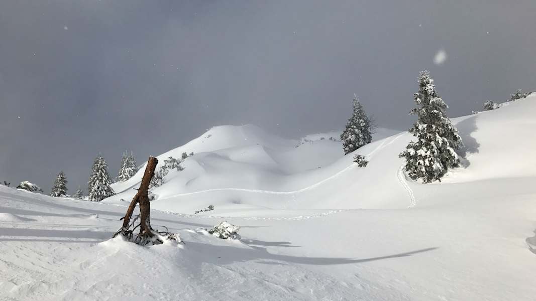 Winterlandschaft in Tirol: Tierspuren im Schnee