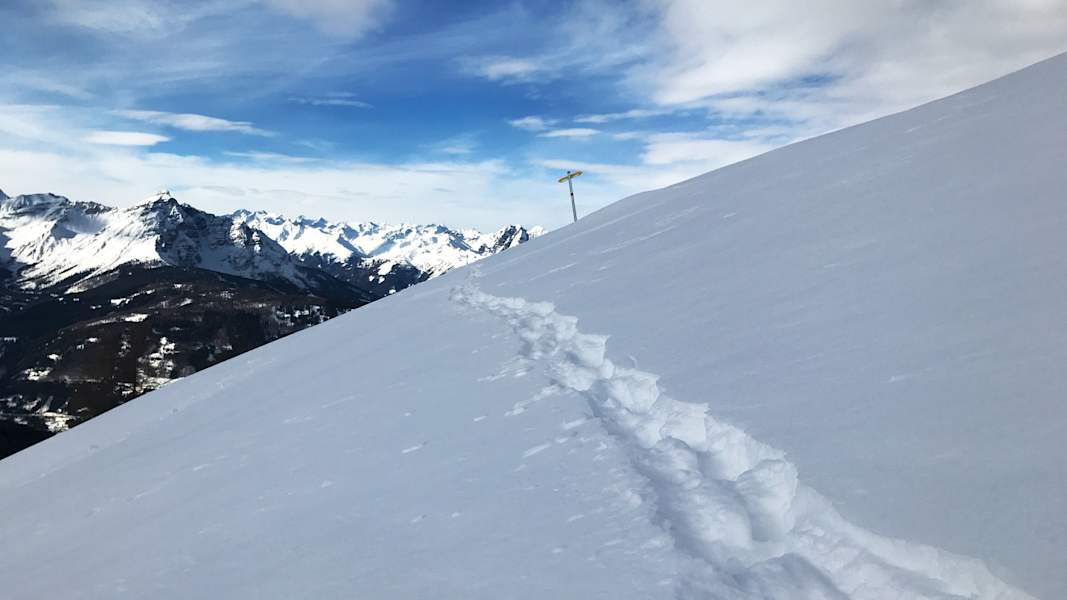 Tierspuren im Schnee: Gamsspuren