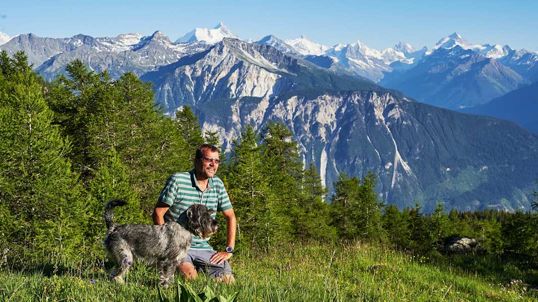 Zwei Schnauzer durchwandern die Schweiz