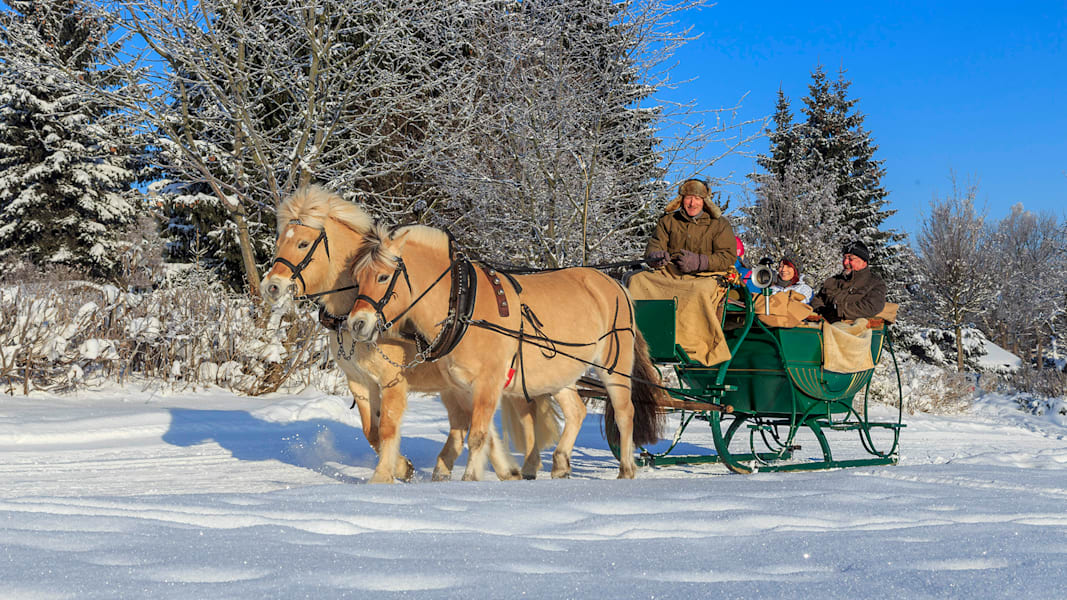 Eine Pferde-Kutsche zieht eine Gruppe von Personen im Winter im Wald herum.