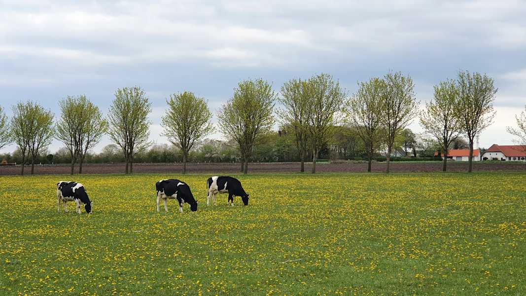 Mit dem Rad durch Dänemark