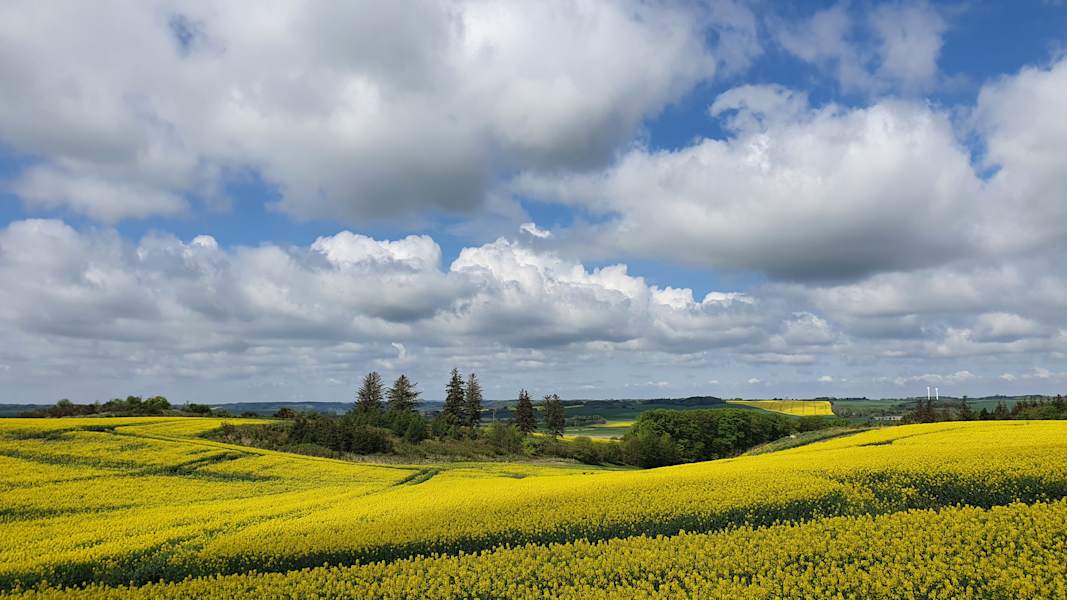 Mit dem Rad durch Dänemark
