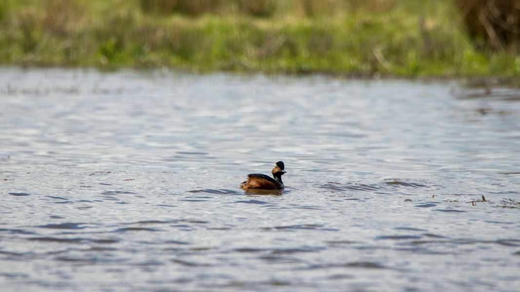 Mit dem Rad durch Dänemark
