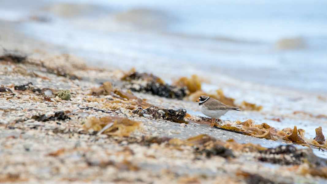 Mit dem Rad durch Dänemark