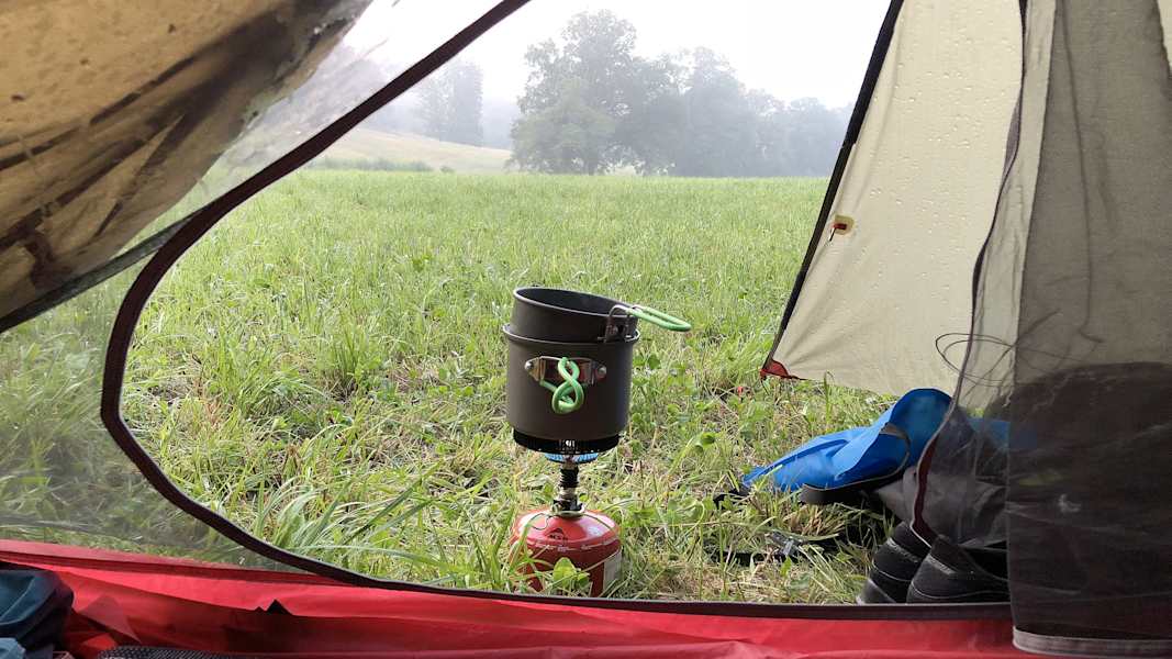 Zwei Schnauzer durchwandern die Schweiz