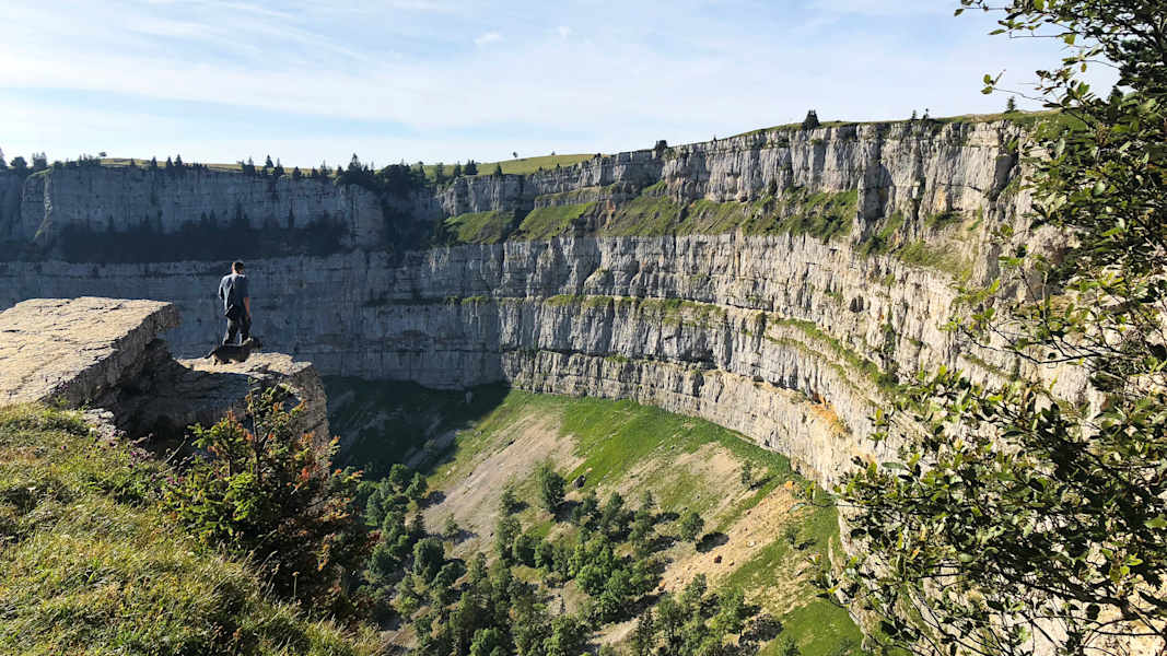 Zwei Schnauzer durchwandern die Schweiz