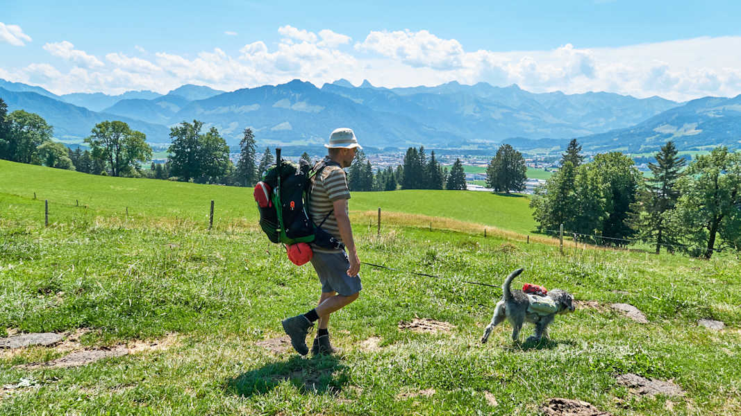 Zwei Schnauzer durchwandern die Schweiz