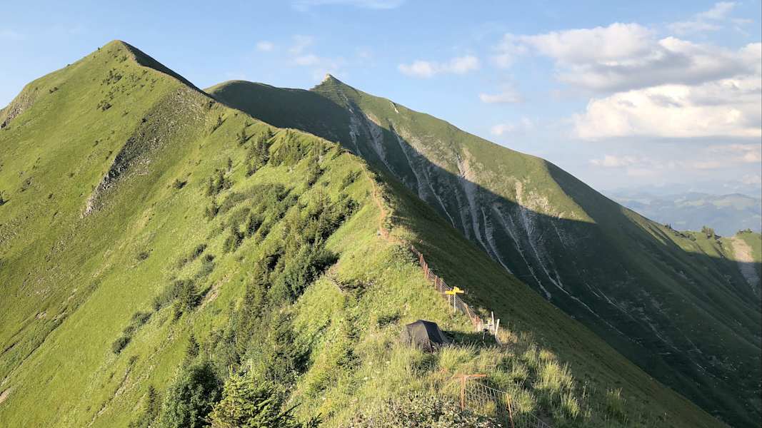 Zwei Schnauzer durchwandern die Schweiz
