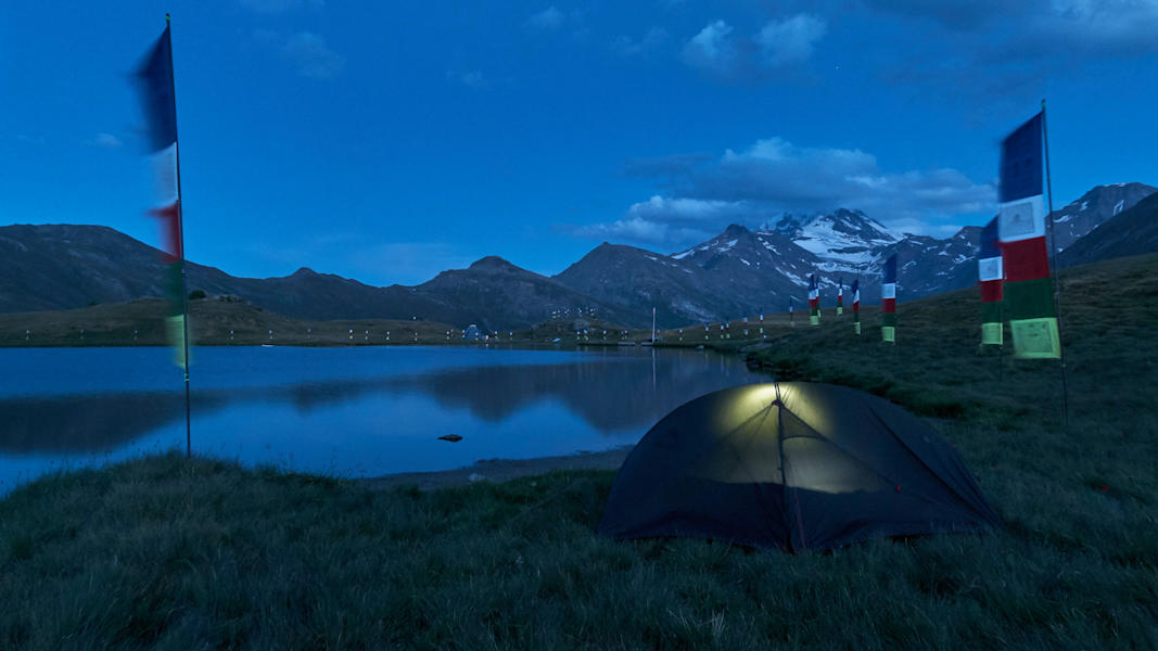 Zwei Schnauzer durchwandern die Schweiz