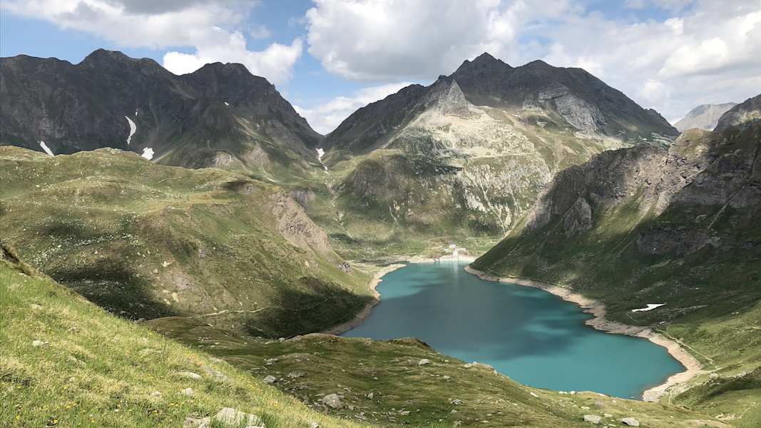 Zwei Schnauzer durchwandern die Schweiz