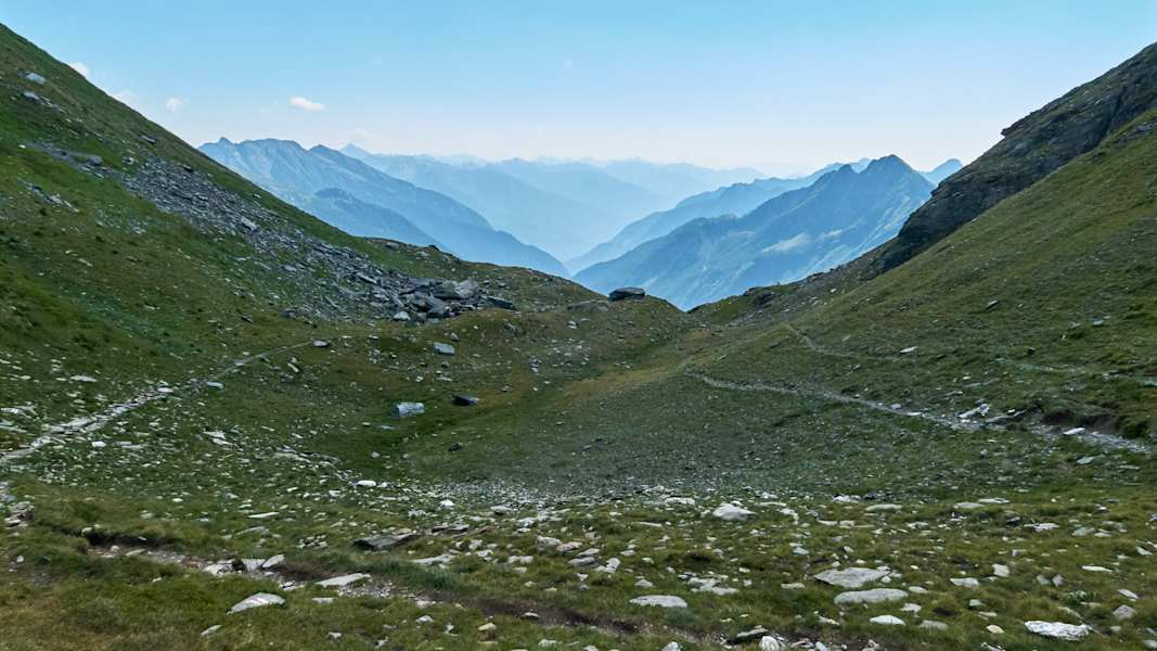 Zwei Schnauzer durchwandern die Schweiz