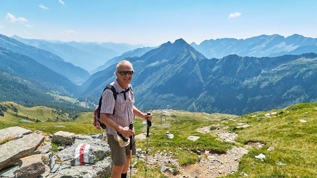Zwei Schnauzer durchwandern die Schweiz