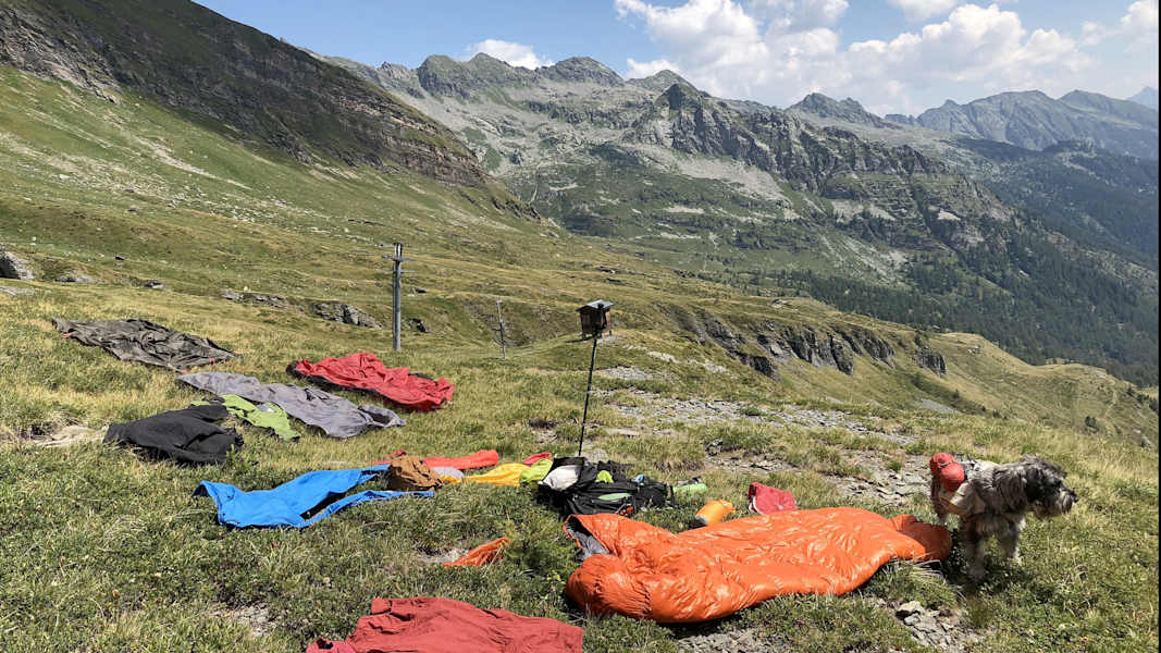 Zwei Schnauzer durchwandern die Schweiz