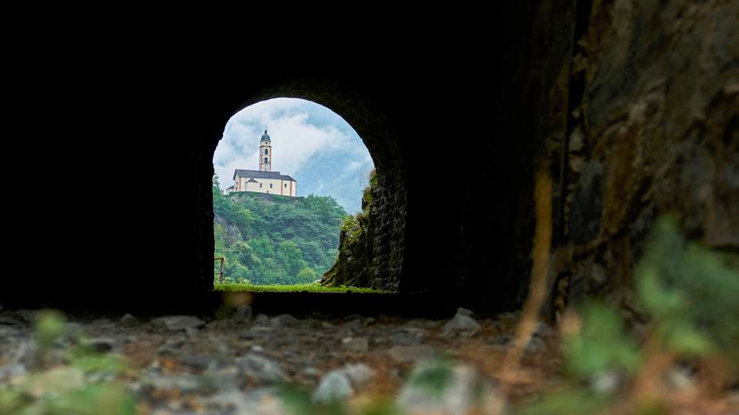 Zwei Schnauzer durchwandern die Schweiz
