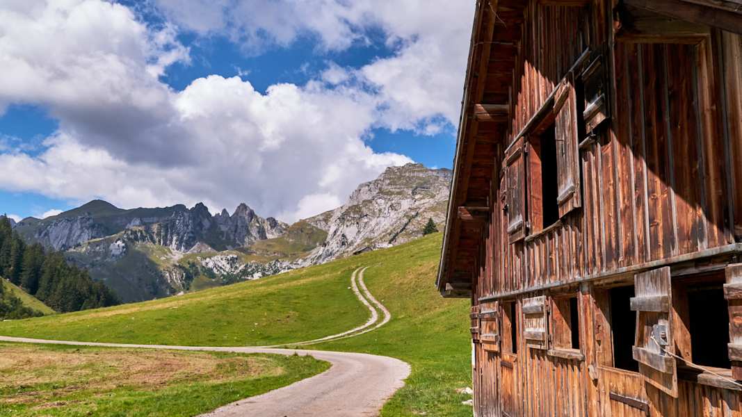 Zwei Schnauzer durchwandern die Schweiz