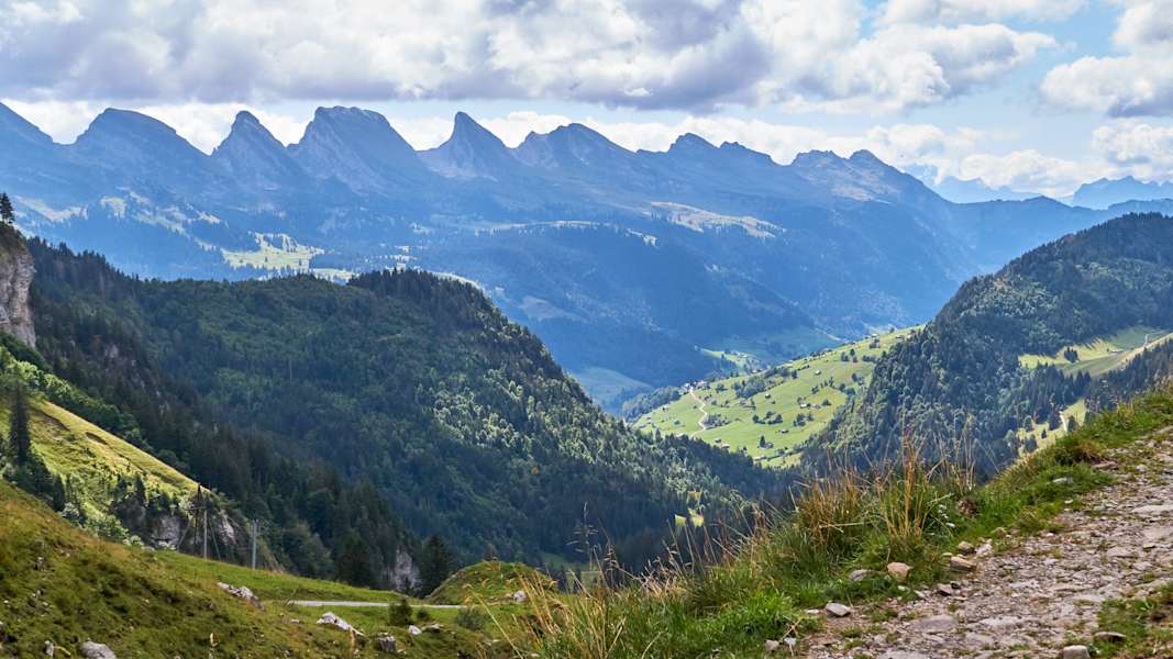 Zwei Schnauzer durchwandern die Schweiz