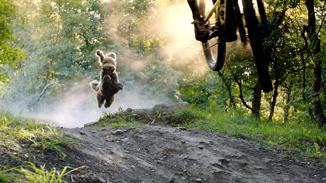 Die BANFF Mountain Film Tour 2022