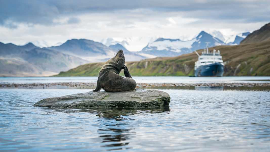 Polarmeer Fotostrecke