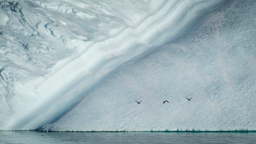 Polarmeer Fotostrecke