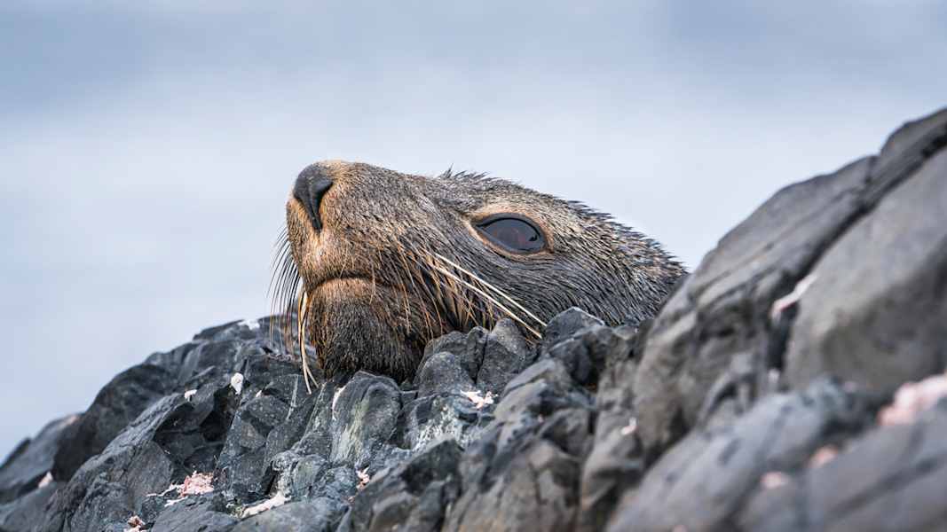 Polarmeer Fotostrecke
