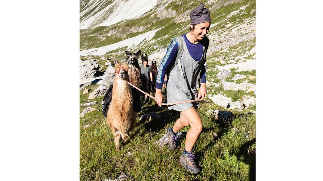 Wandern mit Lamas
