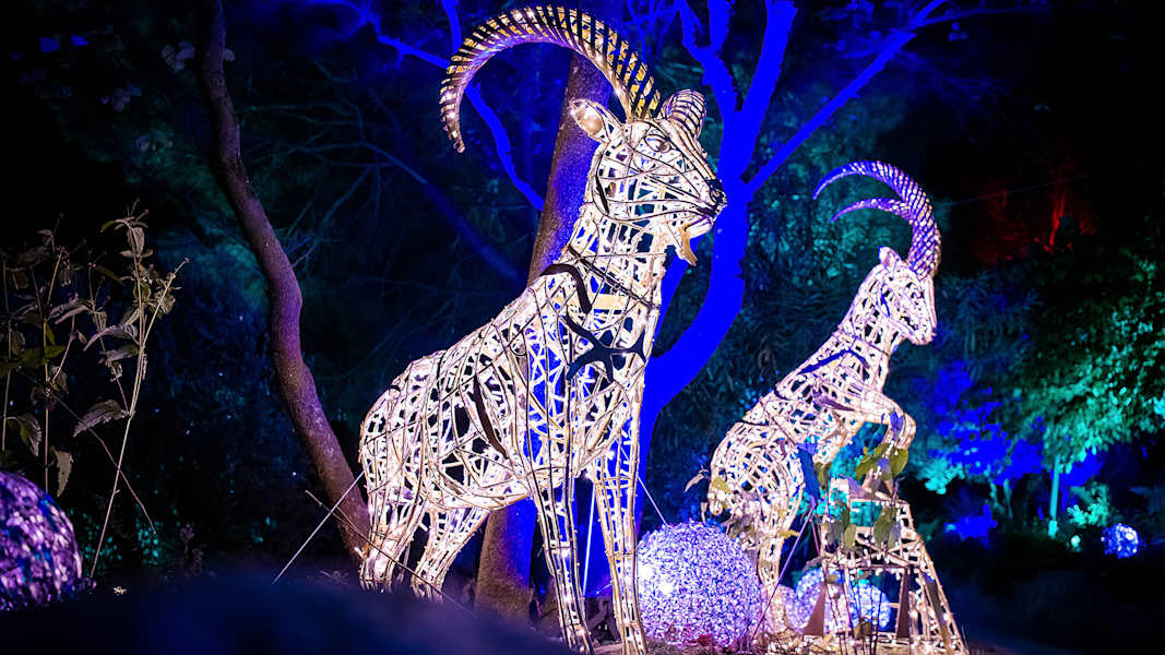 Lichtershow Lumagica in Schenna