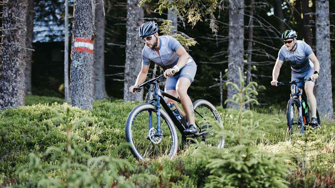Zwei Männer fahren auf Mountainbikes durch den Wald.