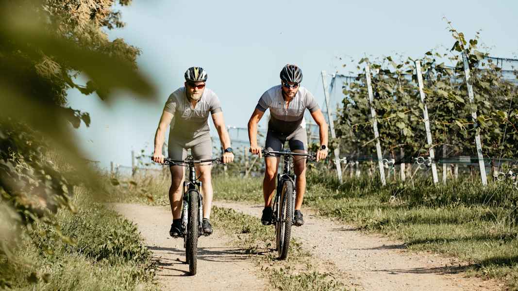 Zwei Männer fahren auf Mountainbikes zwischen Weinbergen hindurch.