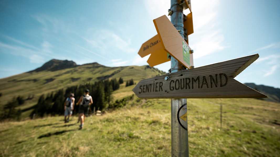 Zwei Wanderer auf dem Gourmetpfad von Les Paccots.