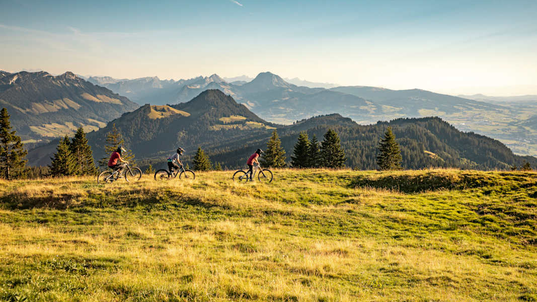 Drei Mountainbiker fahren über eine Wiese, im Hintergrund eine Bergkette.