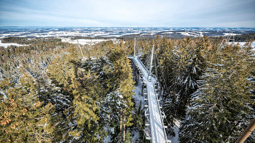 Die Waldwelt Skywalk Allgäu bietet hoch über den verschneiden Baumwipfeln eine großartige Aussicht auf das Allgäu.