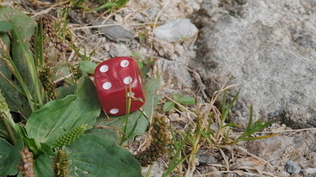 Der Würfel entscheidet, wo es langgeht.