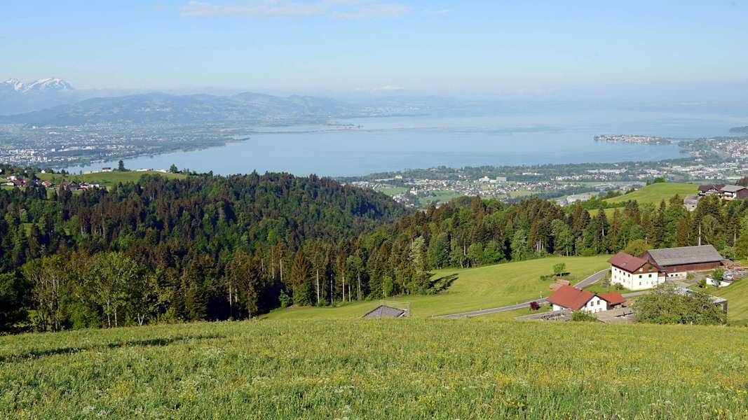 Den Bodensee fest im Blick – in Scheidegg ist das beim Wandern keine Seltenheit.