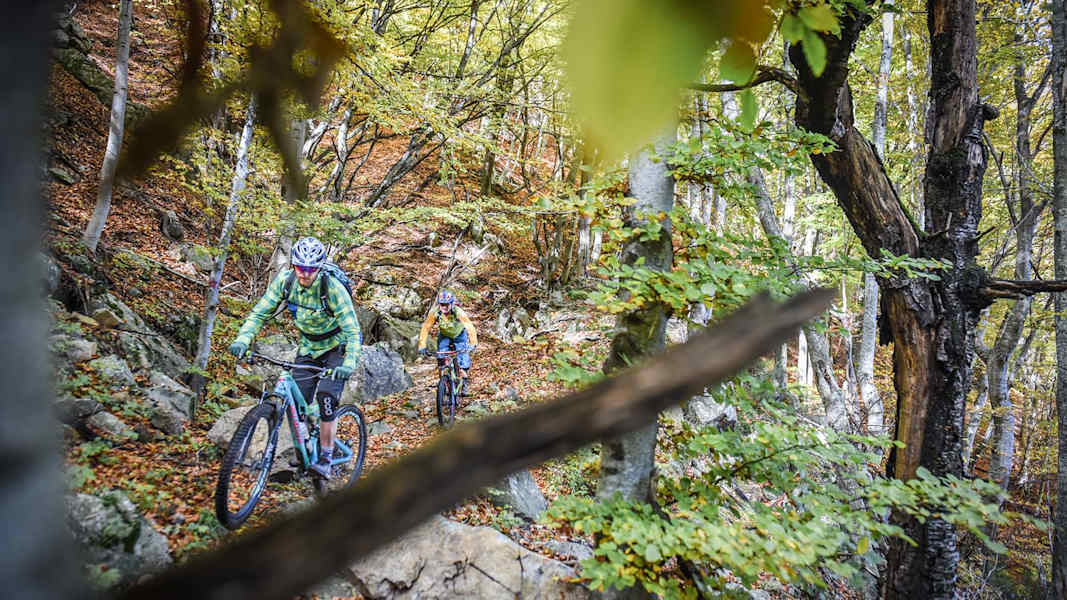 Sicher über Stock und Stein auf zwei Rädern