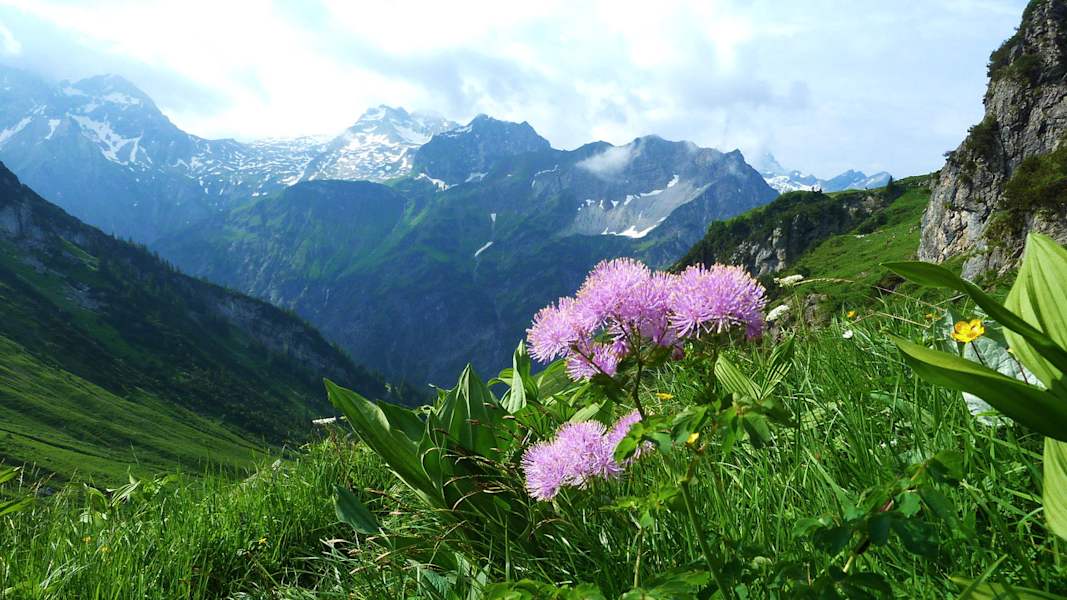 Biosphärenpark Großes Walsertal